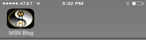 iPhone Screen Shot Apple Touch Icon Preview